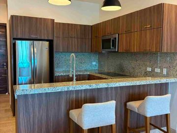 Departamento en Renta Torres de San José