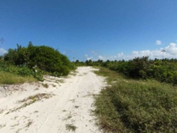 Terreno en venta en San Benito Yucatán (segunda fila en playa)