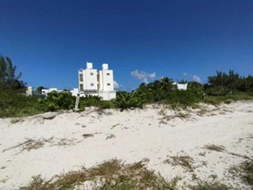 Terreno en venta en San Benito Yucatán (segunda fila en playa)