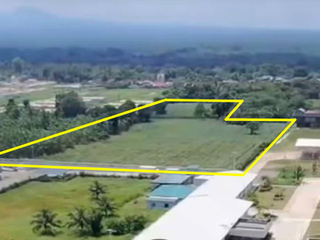 San Bartolome 2.1 Hectares for Sale in San Pablo City, Laguna Philippines