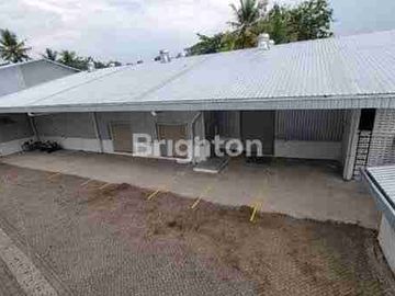Gedung Bagus Di Gamping Sleman