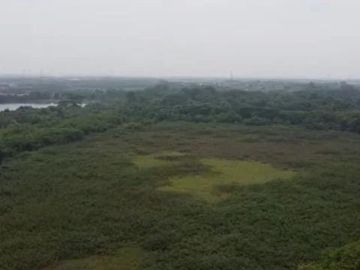 Disewakan Lahan Luas Sangat Strategis di Rorotan Jakarta Utara