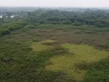 Disewakan Lahan Luas Sangat Strategis di Rorotan Jakarta Utara
