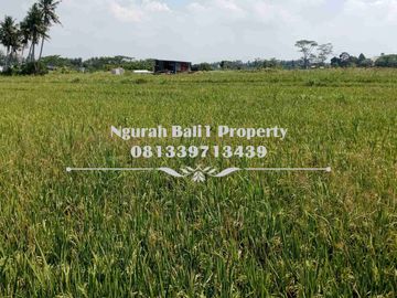 Dijual Tanah Murah Luas 3 Are View Sawah Kawasan Villa di Mas Ubud