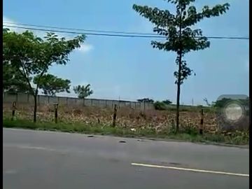 Dijual Tanah Insutri  Widang Tuban Di Jawa Timur