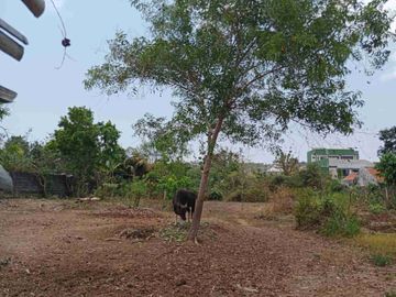 Tanah SHM di Puri Gading Cocok Untuk Perumahan