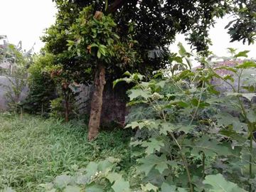 Dijual kavling bonus rumah 
Jl. Jagakarsa Raya, Kp. Kandang
 Jakarta Selatan