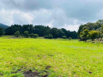 terreno venta