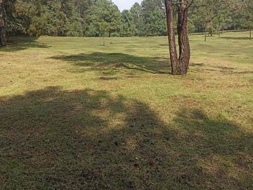 terreno venta