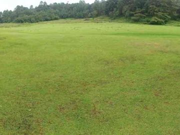 terreno venta
