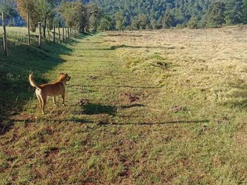 terreno venta