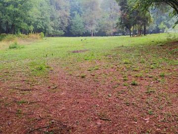 terreno venta