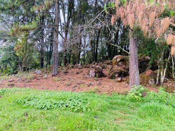 terreno venta