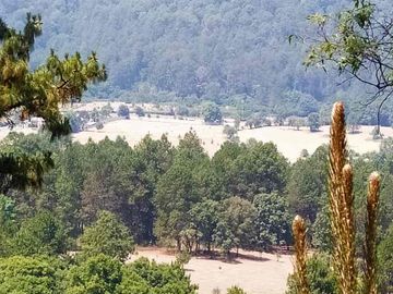 terreno venta