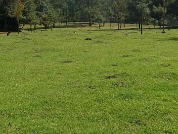 terreno venta