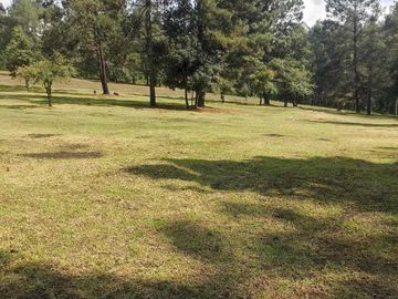 terreno venta