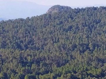 terreno venta