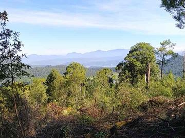 terreno venta