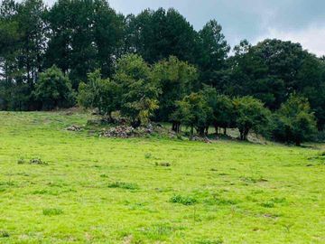 terreno venta