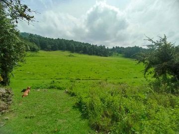 terreno venta
