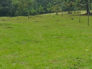 terreno venta