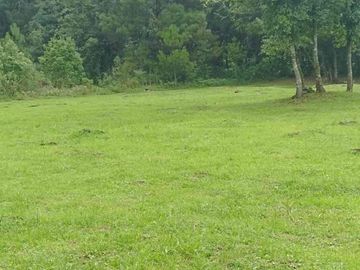terreno venta