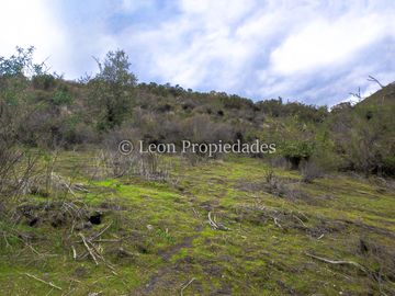 Leon Propiedades vende parcela en condominio, sector Alhué, Curacaví.