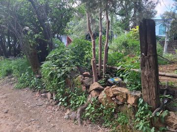 se vende terreno en los ocotes tepoztlan