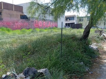 Terreno Urbano en Renta – Colonia Pío X, Monterrey