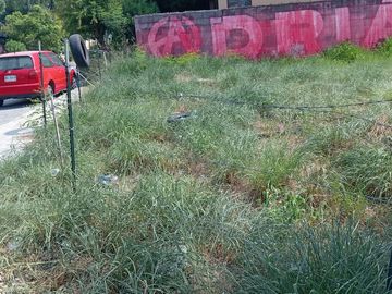 Terreno Urbano en Renta – Colonia Pío X, Monterrey