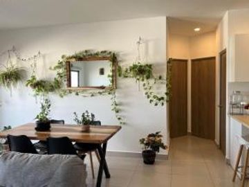 ✨ Moderno departamento en Residencial Castellana | San José del Cabo | alberca