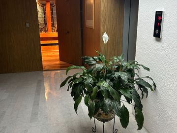 DEPARTAMENTO EN VENTA GUADALUPE INN