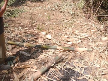 Dijual tanah tegalan