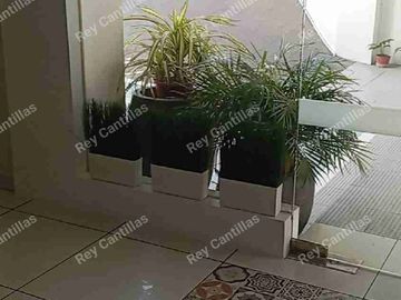 CEBU CITY PROPERTY FOR SALE – IDEAL FOR ESL & OFFSHORE INVESTORS Dormitory type or ESL School type building for sale in Cebu City. Income Generated.