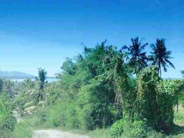 Termurah tanah di by pass ida bagus mantra samping taman safari bali