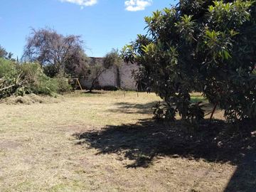 Venta terreno 1000 m2 bardeado, Chachapa, Puebla