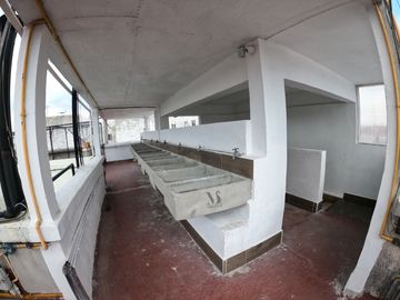 DEPARTAMENTO EN RENTA | ÁLAMOS, BENITO JUÁREZ