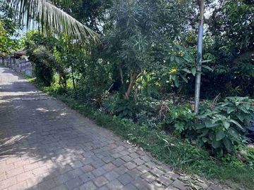 TANAH OCEAN VIEW 1000m² Jl.KENANGA LABUAN SAIT PECATU KUTA SELATAN