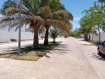 INICIA UNA NUEVA FORMA DE VIVIR MÉRIDA.