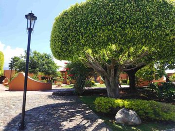 Oportunidad se vende magnífica casa a un precio mucho menor que si valor y solo hay que ajustar la a su gusto. Esta en zona frezca en un fraccionamiento con estricta vigilancia