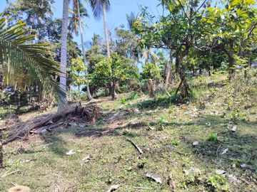 jual tanah 98 are harga 20 jt/ are.lok bonian selemadeg barat