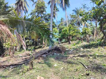jual tanah 98 are harga 20 jt/ are.lok bonian selemadeg barat