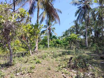 jual tanah 98 are harga 20 jt/ are.lok bonian selemadeg barat