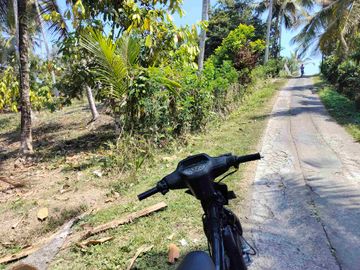 jual tanah 98 are harga 20 jt/ are.lok bonian selemadeg barat