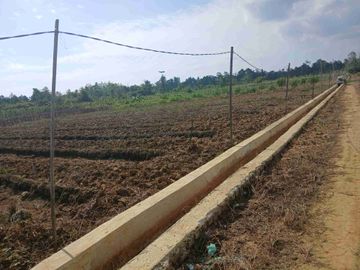 Jual Tanah 1 Hektar Jln.Kontener Kab.Sorong