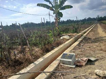 Jual Tanah 1 Hektar Jln.Kontener Kab.Sorong