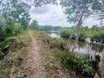 Jual Empang 3 Hektar di Kab.Sorong Jln.kontener