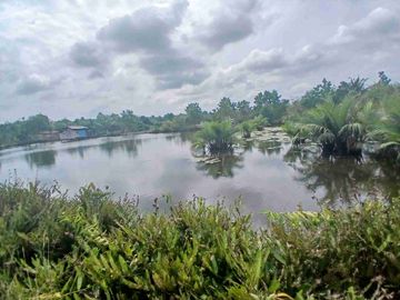 Jual Empang 3 Hektar di Kab.Sorong Jln.kontener
