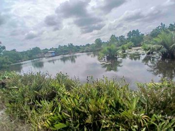 Jual Empang 3 Hektar di Kab.Sorong Jln.kontener