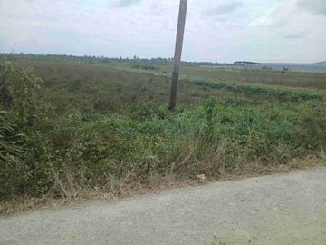 Jual Tanah 50 X 100 di Kab.Sorong Unit 2